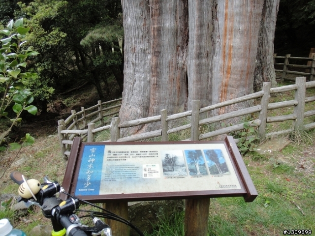 2011 5/1勞動節，來去大雪山深呼吸