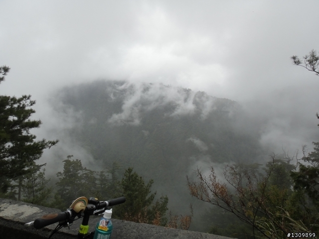 2011 5/1勞動節，來去大雪山深呼吸