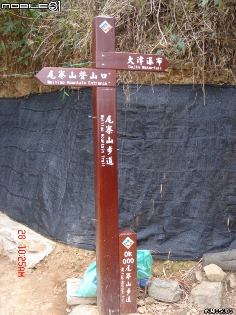 高雄-尾寮山 雲林-古坑 台東-池上 桐花遊
