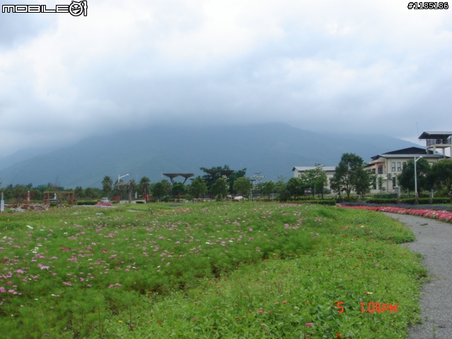 高雄-尾寮山 雲林-古坑 台東-池上 桐花遊