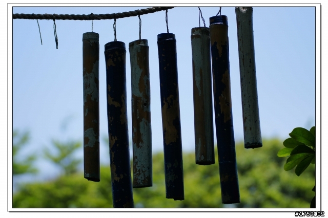 TAMRON SP 70-300mm A005開箱+試鏡實拍