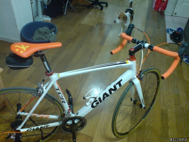 2011 GIANT  車架版TCR 開箱!! 小橘的誕生~!