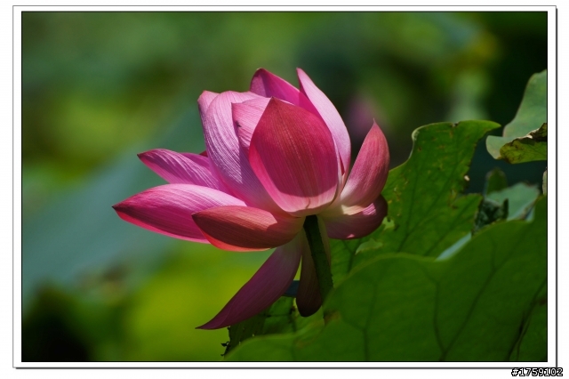 TAMRON SP 70-300mm A005開箱+試鏡實拍