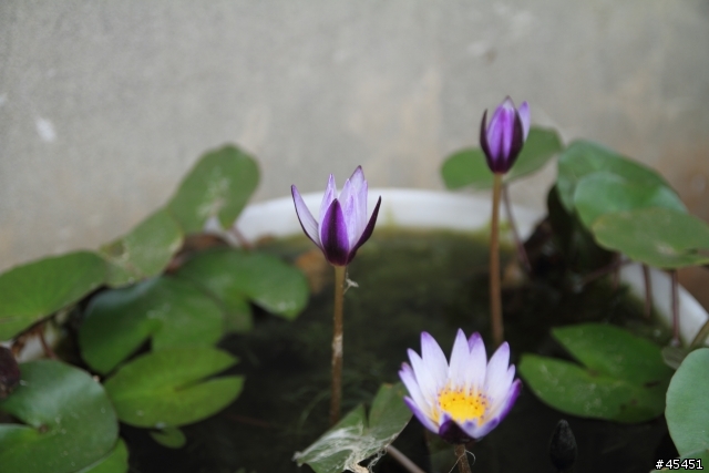 第一次po 圖,,,請多指教