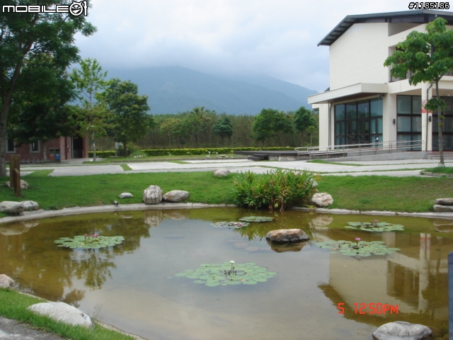 高雄-尾寮山 雲林-古坑 台東-池上 桐花遊