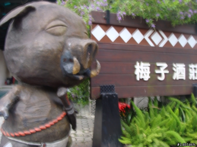 轉山(二部曲)~5/15塔塔加挑戰賽