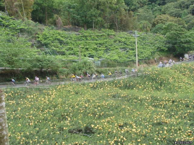 2011.5.1大雪山挑戰賽番外又一篇(轉山首部曲)