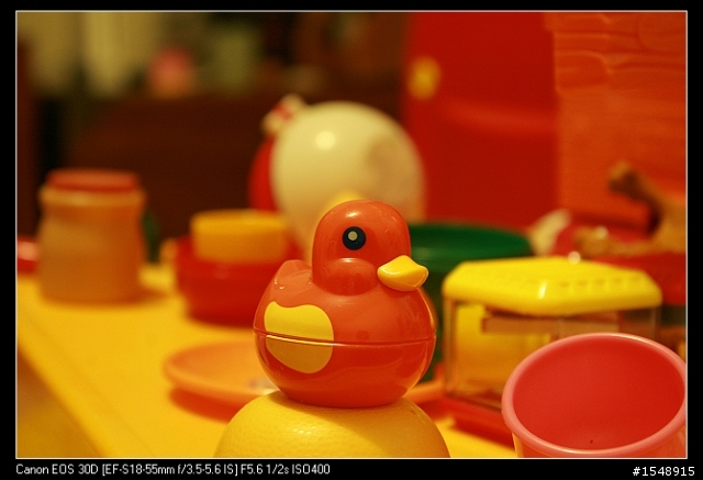 雙機流~我的Canon DSLR新手之路