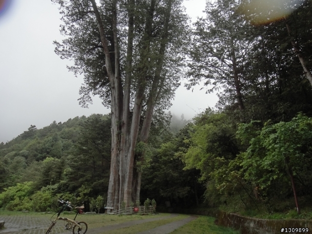 2011 5/1勞動節，來去大雪山深呼吸