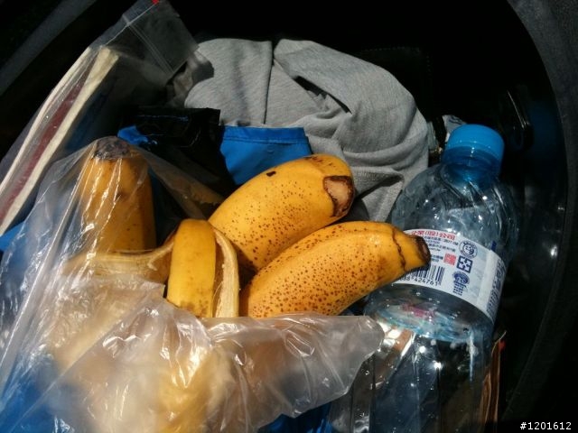 1200km的流浪後,我希望我有所得
