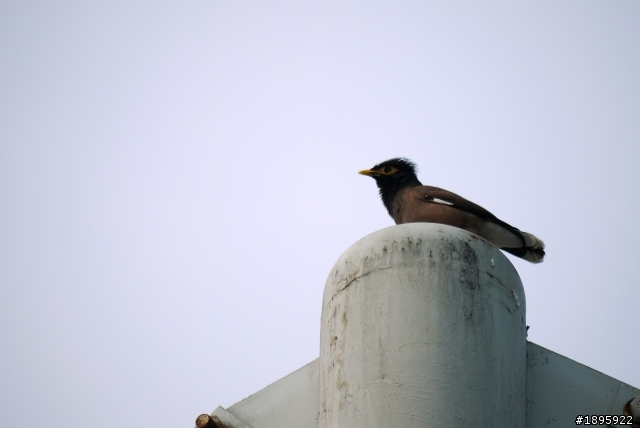 (開箱)Panasonic Lumix G 100-300mm F4.0-5.6