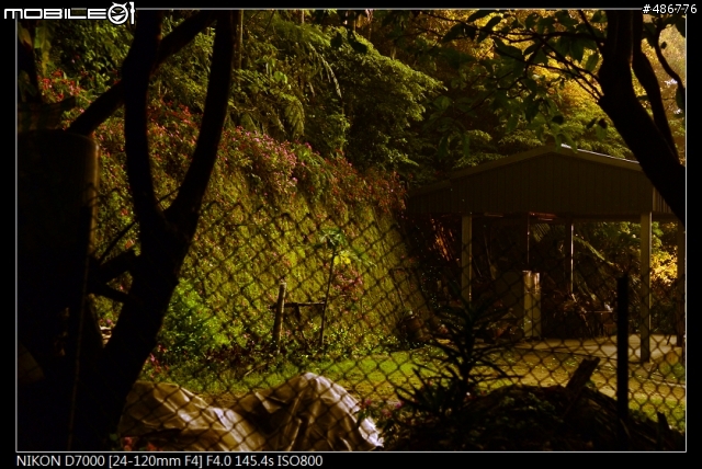 夜曝亮度差異(60D&D7000)