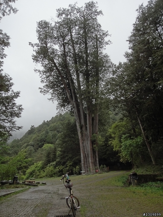 2011 5/1勞動節，來去大雪山深呼吸