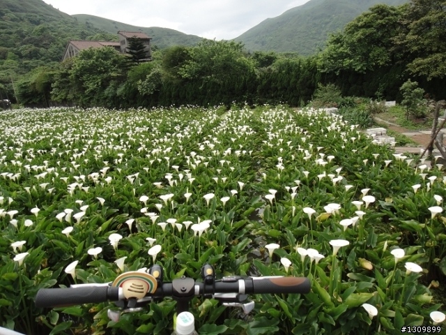 2011「逐鹿登山王 輪耀巴拉卡」 建國100 北海輪擺
