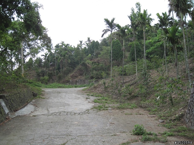 戀戀北大武 Part 2 ~ 桐花尋跡