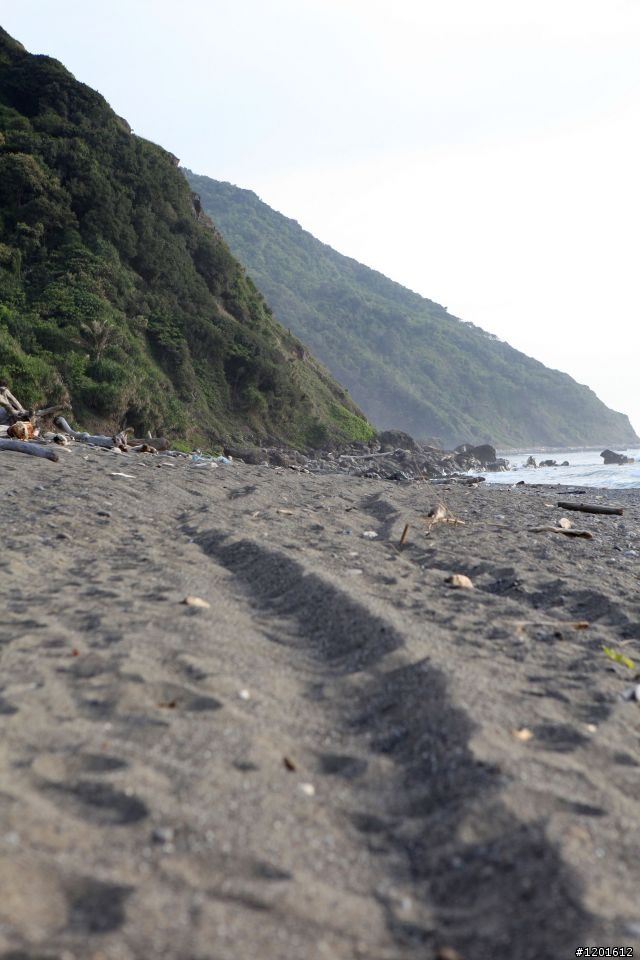 1200km的流浪後,我希望我有所得