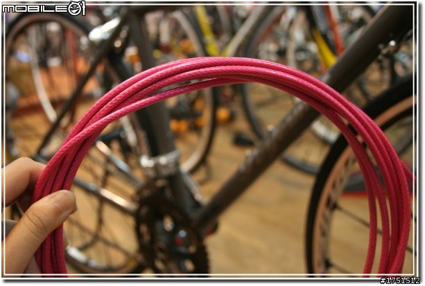 【開箱+改顏色】鈦合金公路車