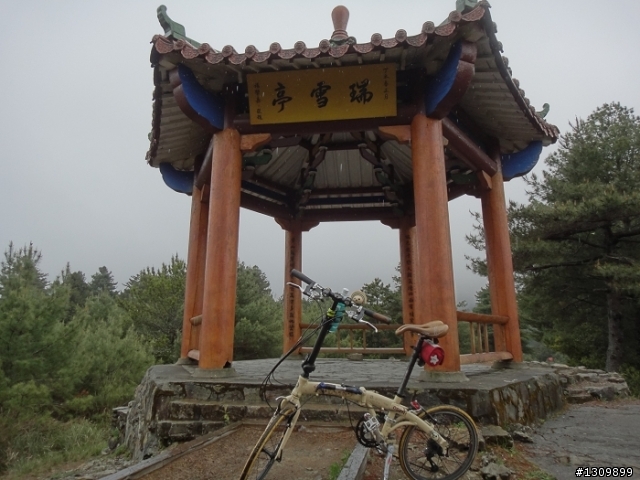 2011 5/1勞動節，來去大雪山深呼吸
