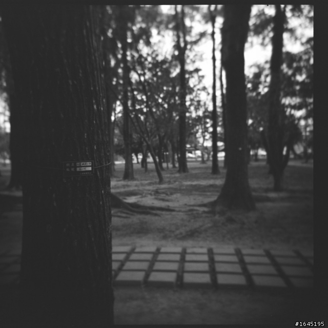 45樓新增彩負拍攝成果--非腦袋派之 HOLGA 120GCFN 開箱 + 第一卷成果