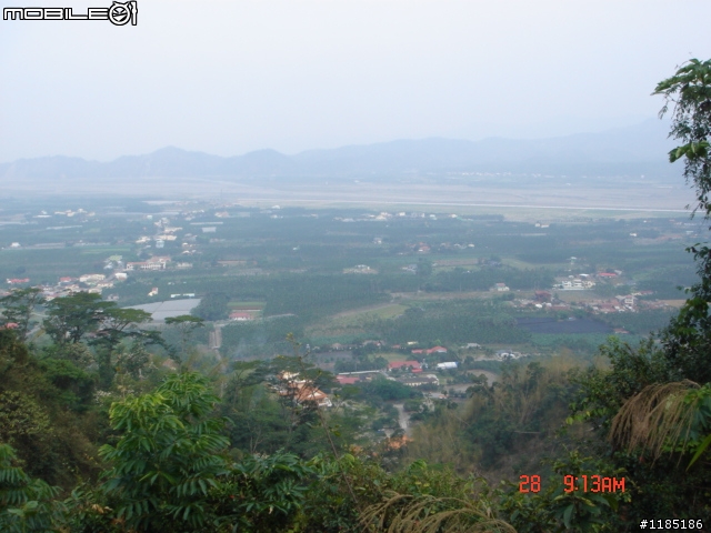 高雄-尾寮山 雲林-古坑 台東-池上 桐花遊