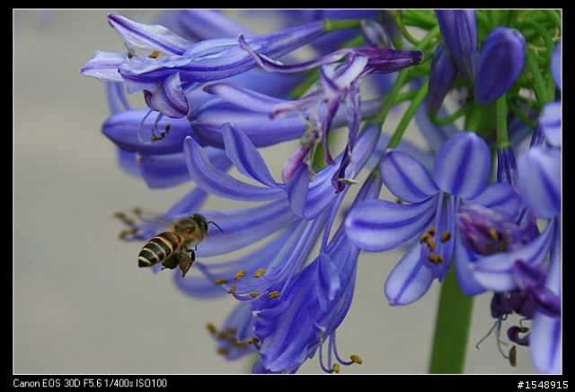 雙機流~我的Canon DSLR新手之路