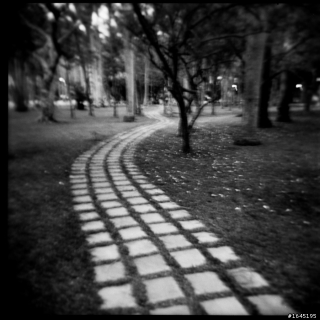 45樓新增彩負拍攝成果--非腦袋派之 HOLGA 120GCFN 開箱 + 第一卷成果