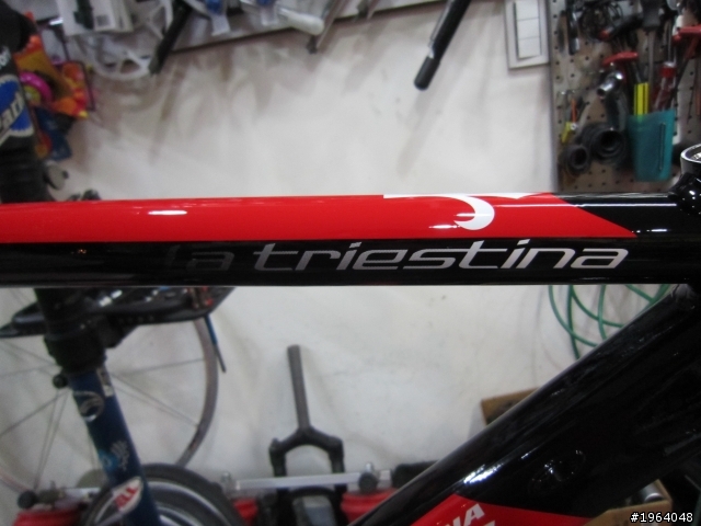 我的人生第一台公路車!(WILIER LA TRIESTINA)