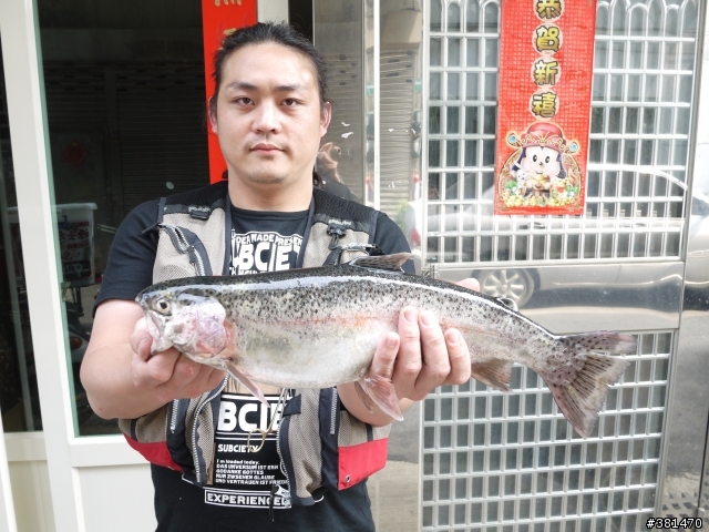 溪釣人的夢幻魚