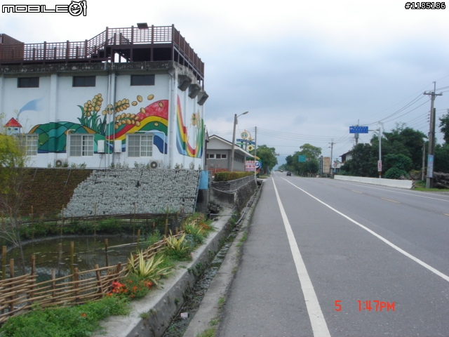 高雄-尾寮山 雲林-古坑 台東-池上 桐花遊