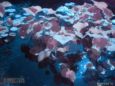 680nm紅外線濾鏡，用過的請進來分享