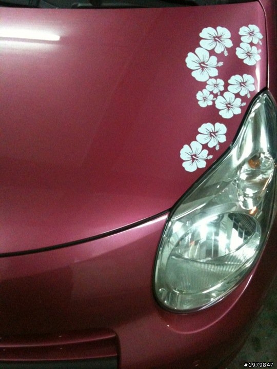 分享我的Suzuki汽車!!