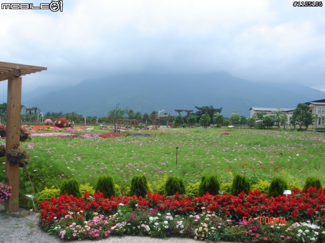 高雄-尾寮山 雲林-古坑 台東-池上 桐花遊