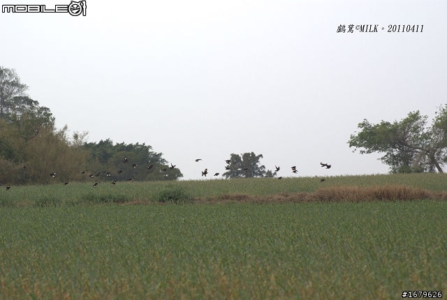 藍色肥精靈之小金門環島行