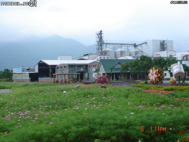 高雄-尾寮山 雲林-古坑 台東-池上 桐花遊