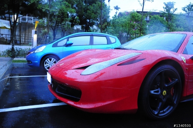 今天無聊跑到日月潭 再停車場看到的馬