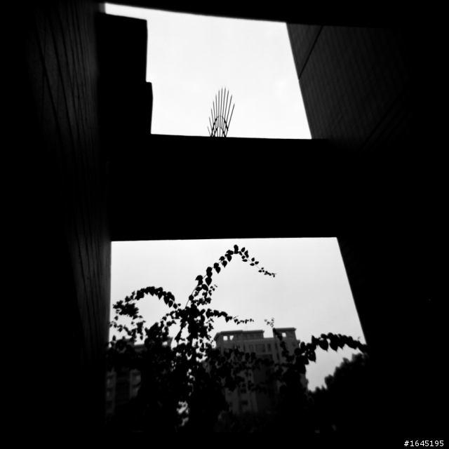45樓新增彩負拍攝成果--非腦袋派之 HOLGA 120GCFN 開箱 + 第一卷成果