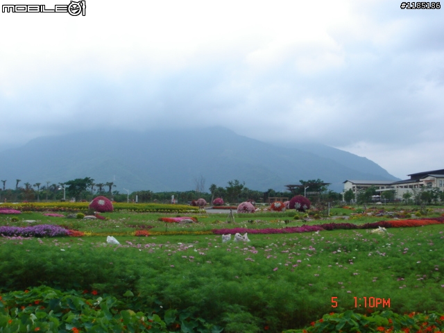高雄-尾寮山 雲林-古坑 台東-池上 桐花遊