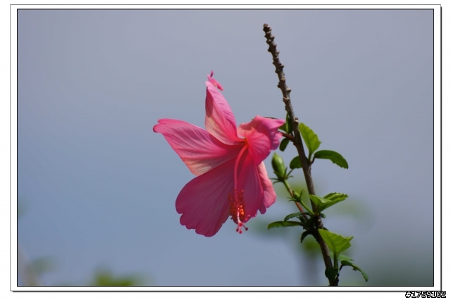 TAMRON SP 70-300mm A005開箱+試鏡實拍