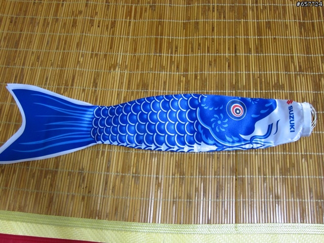 鐵男OG桑縱橫長征 之 鯉魚開箱