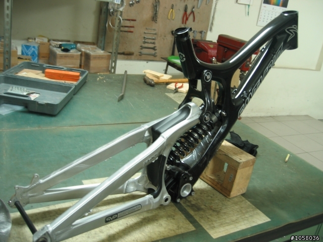 SANTA CRUZ V10.4
