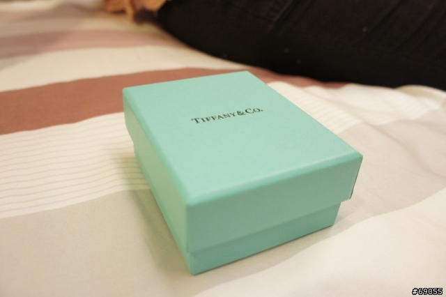 [分享] 女王的生日禮物~ Tiffany & Co. 項鍊