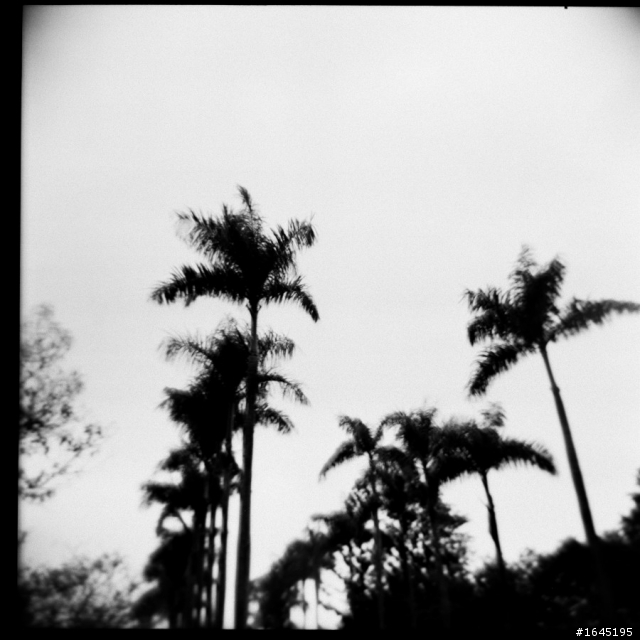 45樓新增彩負拍攝成果--非腦袋派之 HOLGA 120GCFN 開箱 + 第一卷成果
