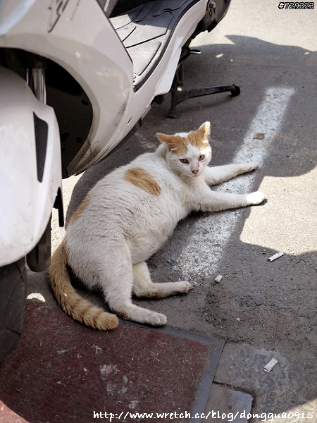 我的GF2新眼睛 20mm/F1.7