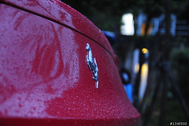 今天無聊跑到日月潭 再停車場看到的馬