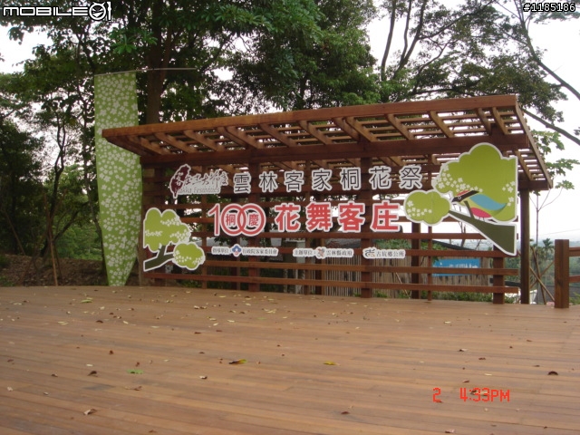 高雄-尾寮山 雲林-古坑 台東-池上 桐花遊
