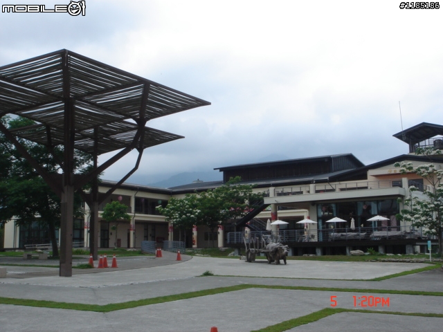 高雄-尾寮山 雲林-古坑 台東-池上 桐花遊
