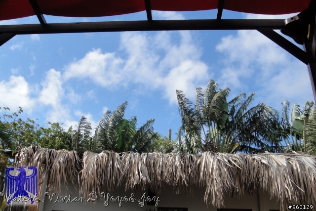墾丁我來曬太陽啦～day 2 慕夏villa