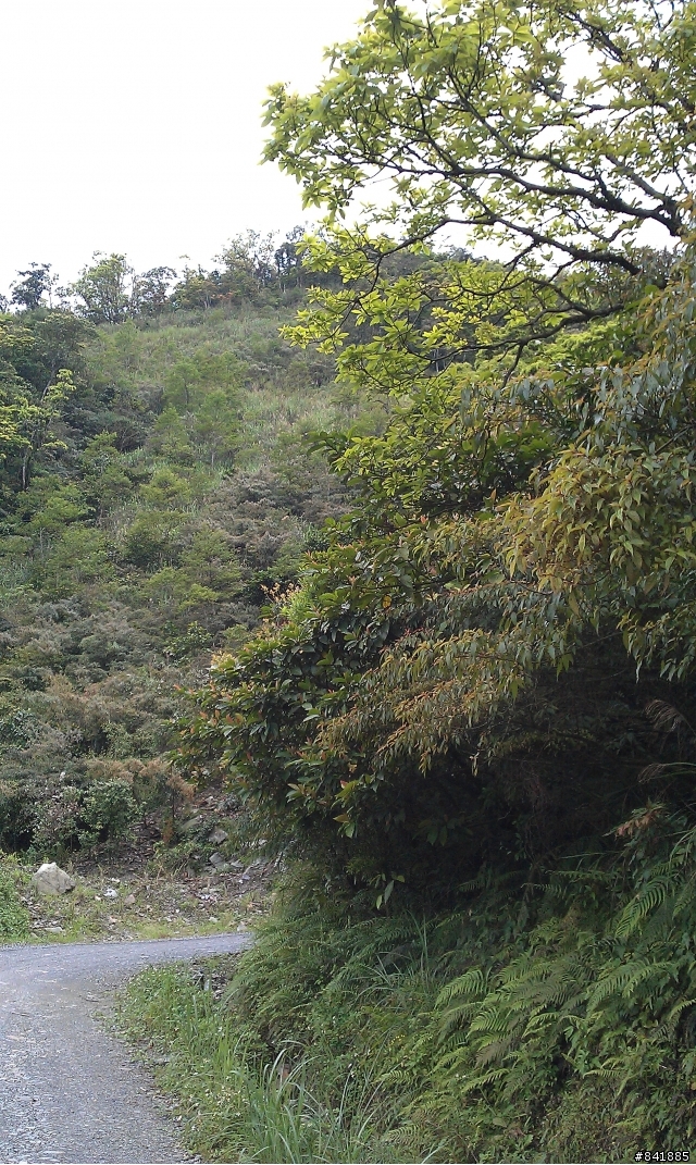 宜蘭大白山礦場硬斗騎