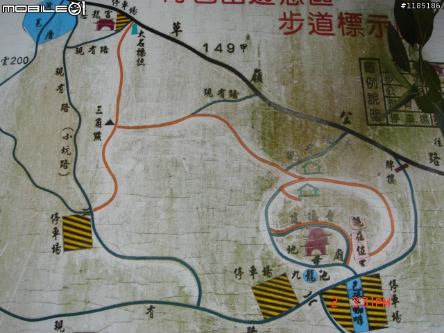 高雄-尾寮山 雲林-古坑 台東-池上 桐花遊