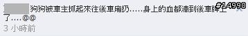 [轉貼]這個也太誇張！用車虐待狗！